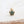 Load image into Gallery viewer, Green Diamond Flower Ear Piercing