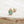 Load image into Gallery viewer, Emerald Teardrop Ear Piercing