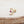 Load image into Gallery viewer, Crescent & Ruby Star Piercing