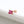 Load image into Gallery viewer, Square Cut Ruby Piercing