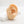 Load image into Gallery viewer, Small Swallow Internally Labret