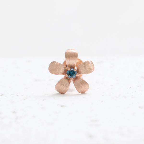 Blue Diamond Daisy Labret